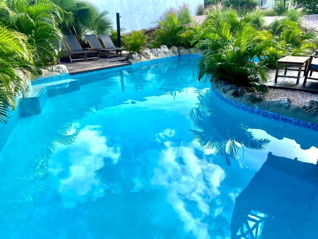 Neue Villa Tropic Paradise Віллемстад Екстер'єр фото